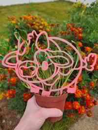 Image 1 of Cow Trellis