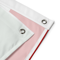 Image 2 of Nineteen Republic Flag