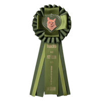 Image 1 of First Place Prize Ribbon 