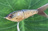 Image 4 of Custom Airbrushed Glide Bait 0897