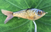 Image 5 of Custom Airbrushed Glide Bait 0897