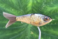 Image 7 of Custom Airbrushed Glide Bait 0897
