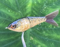 Image 8 of Custom Airbrushed Glide Bait 0897
