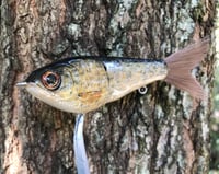Image 3 of Custom Airbrushed Glide Bait 0897