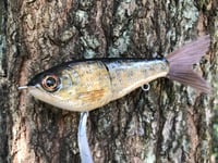 Image 1 of Custom Airbrushed Glide Bait 0897