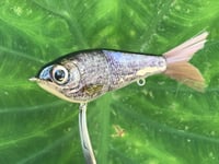 Image 1 of Custom Airbrushed Glide Bait 7591