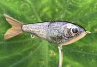 Image 2 of Custom Airbrushed Glide Bait 7591