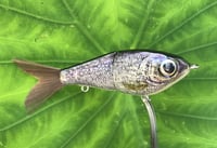 Image 5 of Custom Airbrushed Glide Bait 7591