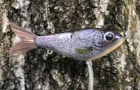 Image 6 of Custom Airbrushed Glide Bait 7591