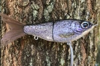 Image 8 of Custom Airbrushed Glide Bait 7591