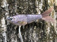 Image 9 of Custom Airbrushed Glide Bait 7591