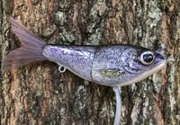 Image 11 of Custom Airbrushed Glide Bait 7591