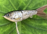 Image 11 of Custom Airbrushed Glide Bait 9487