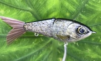 Image 14 of Custom Airbrushed Glide Bait 9487