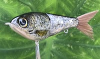 Image 15 of Custom Airbrushed Glide Bait 9487