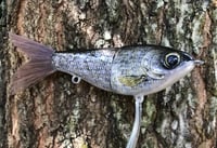 Image 6 of Custom Airbrushed Glide Bait 9487