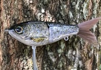 Image 2 of Custom Airbrushed Glide Bait 9487