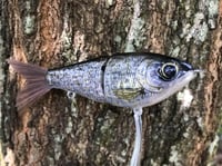 Image 1 of Custom Airbrushed Glide Bait 9487