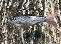 Image 7 of Custom Airbrushed Glide Bait 9487