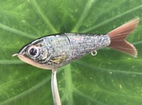 Image 5 of Custom Airbrushed Glide Bait 1537