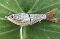 Image 8 of Custom Airbrushed Glide Bait 1537