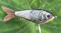 Image 11 of Custom Airbrushed Glide Bait 1537