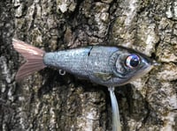 Image 14 of Custom Airbrushed Glide Bait 1537