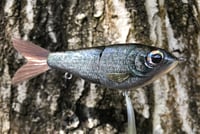 Image 15 of Custom Airbrushed Glide Bait 1537