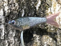 Image 13 of Custom Airbrushed Glide Bait 1537