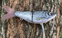 Image 4 of Custom Airbrushed Glide Bait 1537