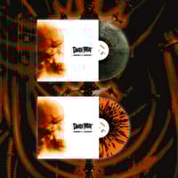 Image 1 of double vinyl bundle 