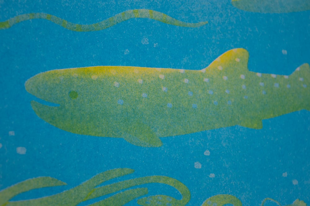 Image of Ocean Creatures Risograph Print - 8.5x11"