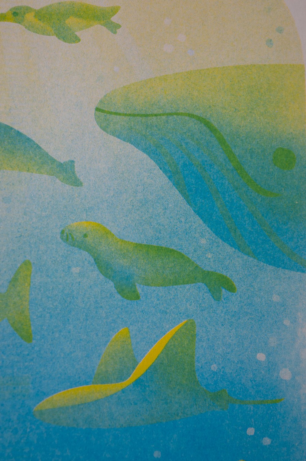 Image of Ocean Creatures Risograph Print - 8.5x11"