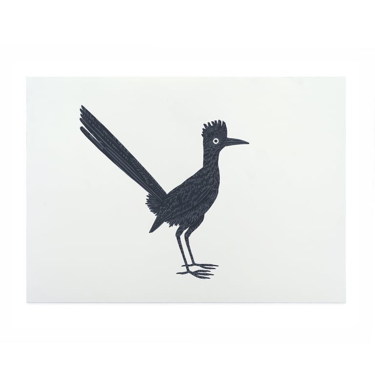 Roadrunner | Kleine Renkoekoek