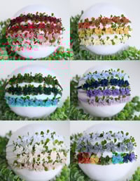 Image 3 of Bowette Halo