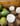 Coconut Cream (BODY WASH)