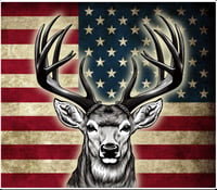 Image 1 of American Bucks