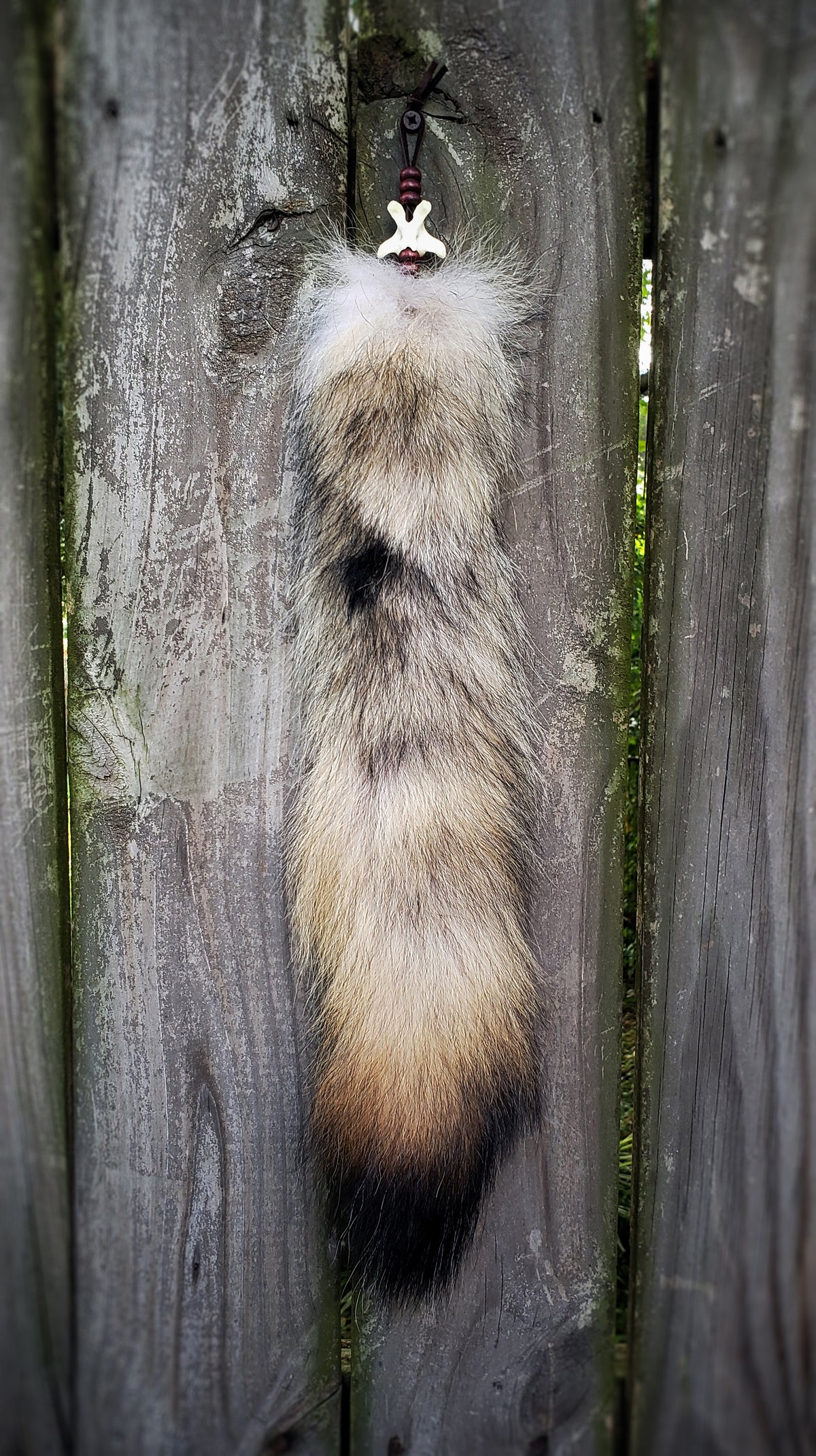 Image of Real Wolf Tail