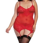 Image 1 of Sheer and Lace Garter Slip