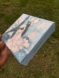 Image 4 of Pink Mini Ballerina