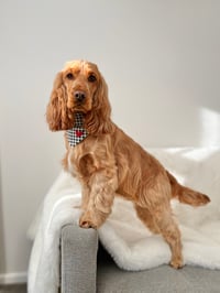 Image 3 of Dog Bandana - Little Red Heart
