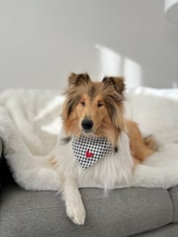 Image 4 of Dog Bandana - Little Red Heart