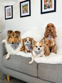 Image 2 of Dog Bandana - Little Red Heart