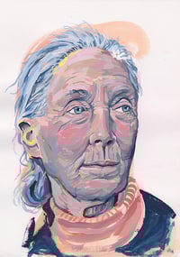 Jane Goodall