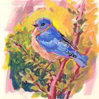 Bird originals