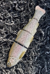 Image 2 of Immortal Trout 7.7 “Gold Back Trout ”