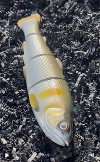 Image 1 of Immortal Trout 7.7 “Ayu ”