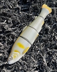 Image 2 of Immortal Trout 7.7 “Ayu ”