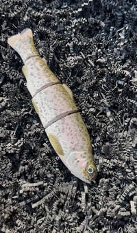 Image 1 of Immortal Trout 7.7 “Gold Back Trout ”