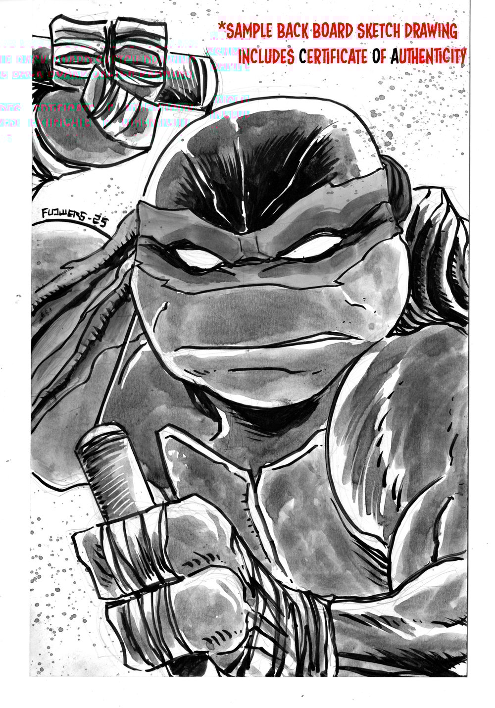 TMNT #12